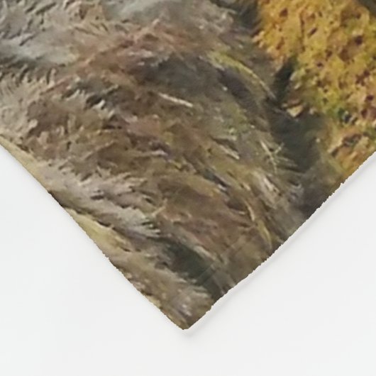 Couverture Polaire Oiseau d'autruche (Coin)