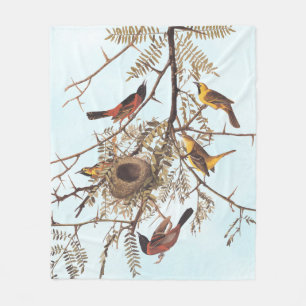Couverture Polaire Oiseaux d'oriole du verger d'Audubon dans un criqu