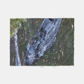 Couverture Polaire Ombre dans les Hauts-Fonds (Devant (Horizontal))