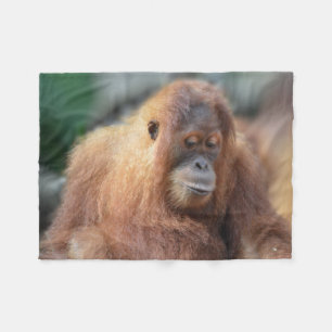 Couverture Polaire Orang-outan mignon