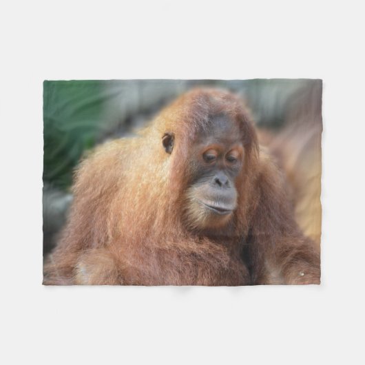 Couverture Polaire Orang-outan mignon (Devant (Horizontal))