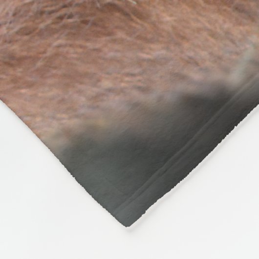 Couverture Polaire Orang-outan mignon (Coin)