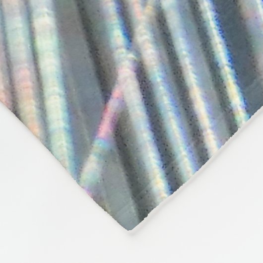 Couverture Polaire Orb Spider on Web (Coin)