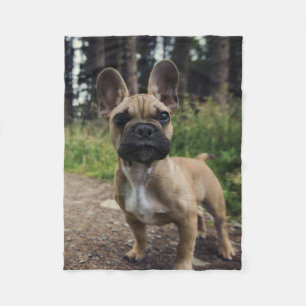 Couverture Polaire Oreiller à lancer de chien de taureau français