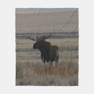 Couverture Polaire Orignal M1