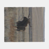 Couverture Polaire Orignal M1 (Devant (Horizontal))