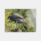 Couverture Polaire Orignaux drôles de Taureau (Devant (Horizontal))