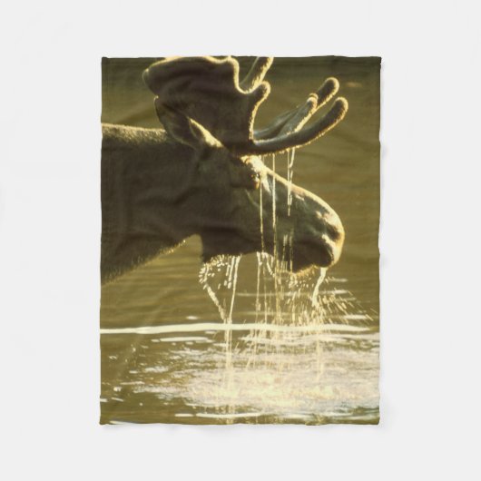 Couverture Polaire Orignaux plongeant sa tête dans l'eau (Devant)