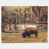 COUVERTURE POLAIRE OÙ LE ROAM DU BUFFALO (Devant (Horizontal))