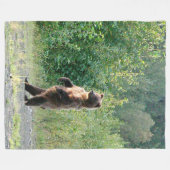 Couverture Polaire Ouatine 60x80 couvrant de l'ours gris debout (Devant (Horizontal))