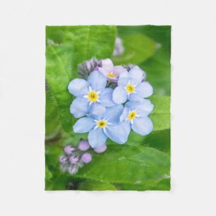 Couverture Polaire Oublie-moi-non