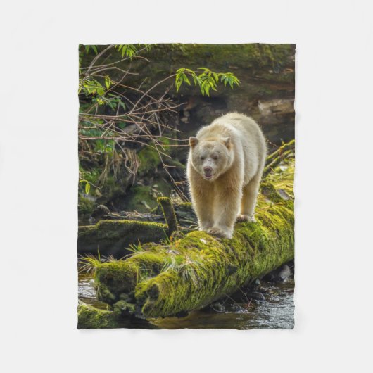 Couverture Polaire Ours blanc | Colombie-Britannique, Canada (Devant)