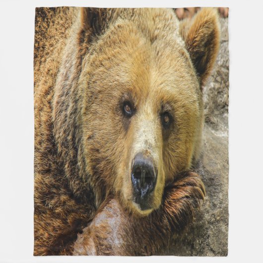Couverture Polaire Ours Brown sauvage (Devant)