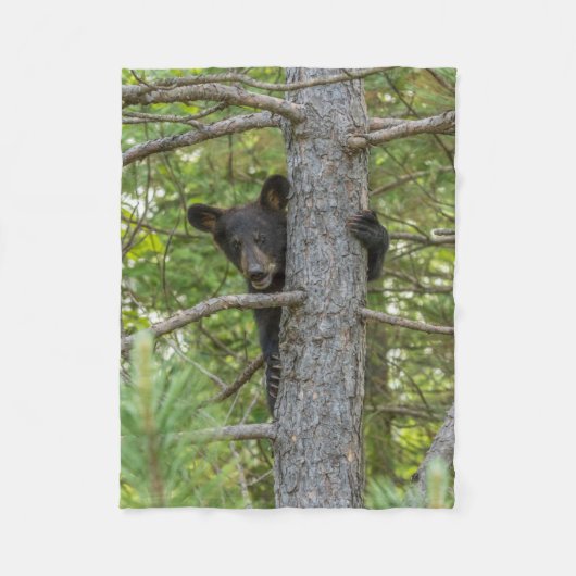 Couverture Polaire Ours Brun Petit Grimpeur d'Arbre (Devant)