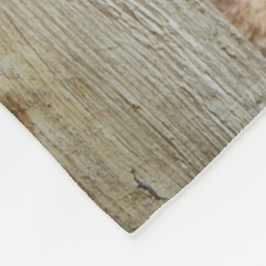 Couverture Polaire Ours Cute Stuffé Mur Rustique En Bois (Coin)