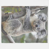 COUVERTURE POLAIRE OURS DE KOALA (Devant (Horizontal))