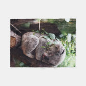 Couverture Polaire Ours de koala mignon détendant dans un arbre (Devant (Horizontal))