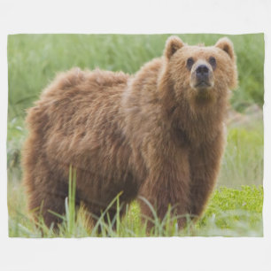 COUVERTURE POLAIRE OURS DE KODIAK