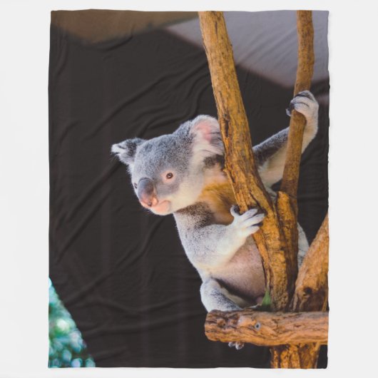 COUVERTURE POLAIRE OURS DE KOWALA (Devant)