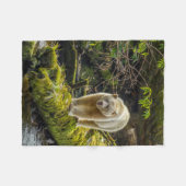 Couverture Polaire Ours d'esprit blanc | Colombie-Britannique, Canada (Devant (Horizontal))