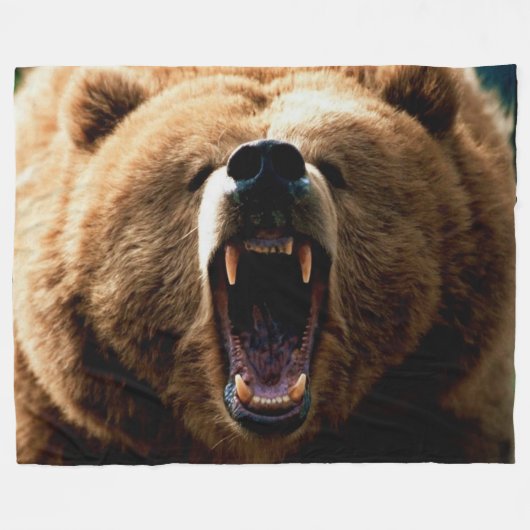 COUVERTURE POLAIRE OURS GRIS (Devant (Horizontal))