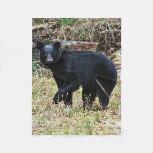 Couverture Polaire Ours noir de Floride (Devant)