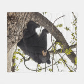 Couverture Polaire Ours noir Escalade (Devant (Horizontal))