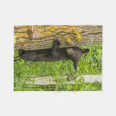 Couverture Polaire Ours noir jeune | Minnesota (Devant (Horizontal))