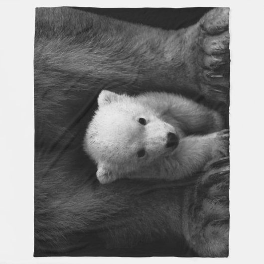 COUVERTURE POLAIRE OURS POLAIRE (Devant)