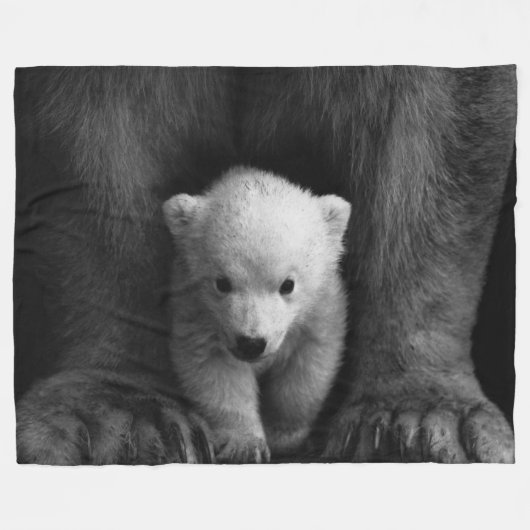 COUVERTURE POLAIRE OURS POLAIRE (Devant (Horizontal))