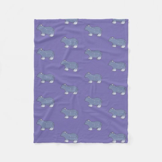 Couverture Polaire Ourse (Devant)