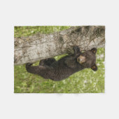 Couverture Polaire Ourson noir dans un arbre (Devant (Horizontal))