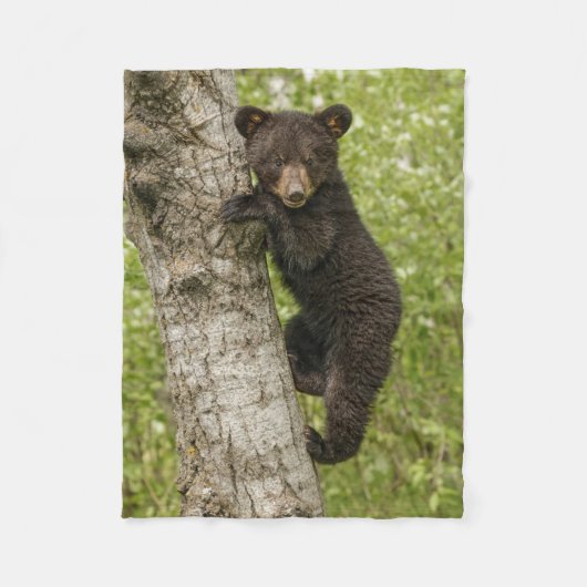 Couverture Polaire Ourson noir dans un arbre (Devant)