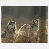 COUVERTURE POLAIRE PACK DE LOUPS (Devant (Horizontal))