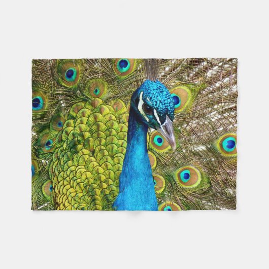 Couverture Polaire Pacock 3 (Devant (Horizontal))