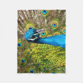 Couverture Polaire Pacock 3 (Devant)