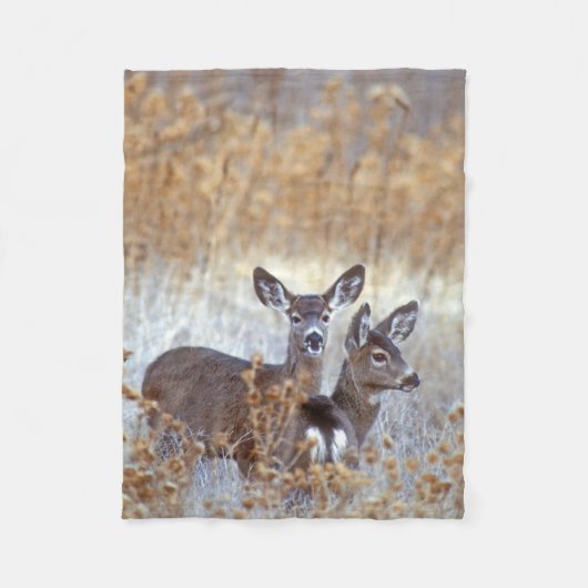 Couverture Polaire Paire de cerfs de Mule sauvage | Californie (Devant)