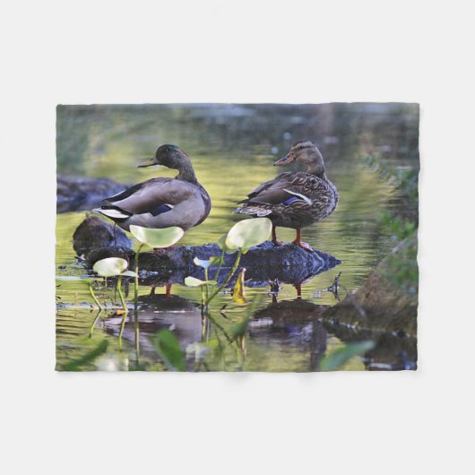 Couverture Polaire Paires de canard de Mallard (Devant (Horizontal))