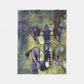 Couverture Polaire Paires de canard de Mallard (Devant)