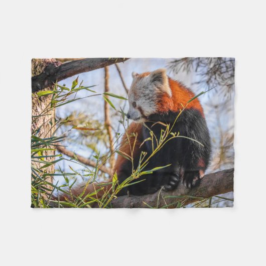 Couverture Polaire Panda rouge (Devant (Horizontal))