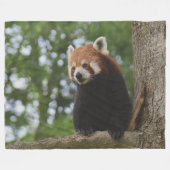 COUVERTURE POLAIRE PANDA ROUGE (Devant (Horizontal))