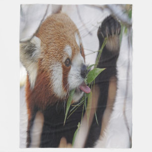 Couverture Polaire Panda rouge affamé