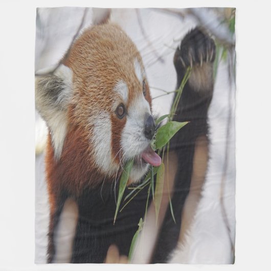 Couverture Polaire Panda rouge affamé (Devant)