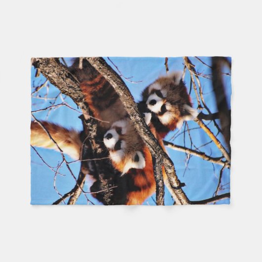 Couverture Polaire pandas rouges (Devant (Horizontal))