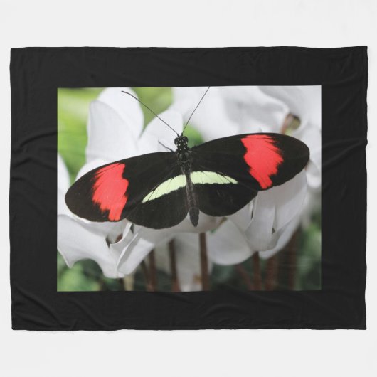 Couverture Polaire Papillon long (Devant (Horizontal))