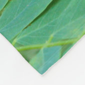 Couverture Polaire Papillon swallowtail de l'Est (Coin)