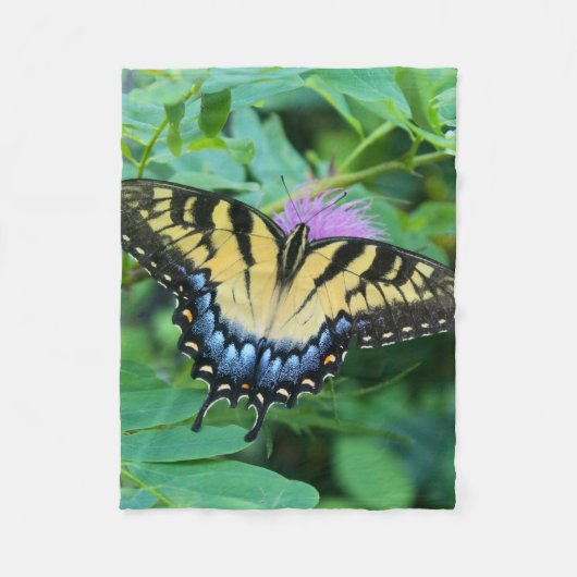 Couverture Polaire Papillon swallowtail de l'Est (Devant)