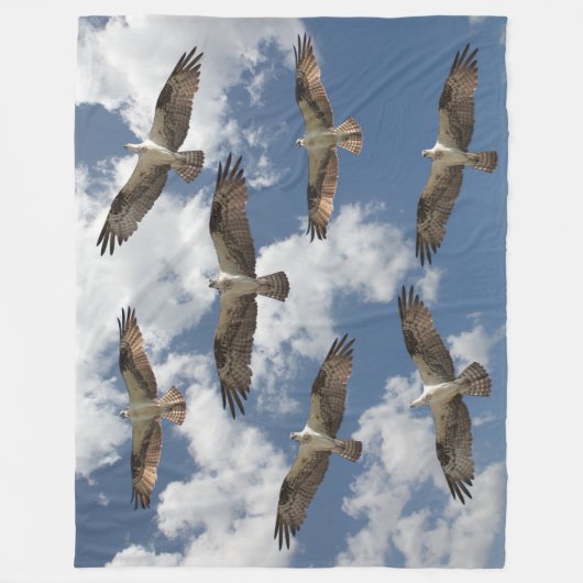Couverture Polaire Parade de Balbuzards dans le ciel (Devant)
