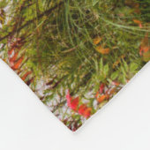 Couverture Polaire Parc d'état d'Itasca | Minnesota (Coin)