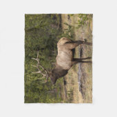 Couverture Polaire Parc national Bull Elk Yellowstone, Wyoming (Devant)